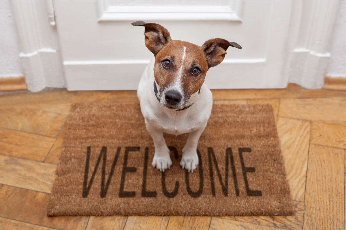 Huisdieren zijn welkom